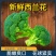 西兰花产地看货论价一手货源欢迎咨询订购