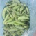 绿皮老品种蚕豆，绿色食品，好吃，蚕豆，各种食发。