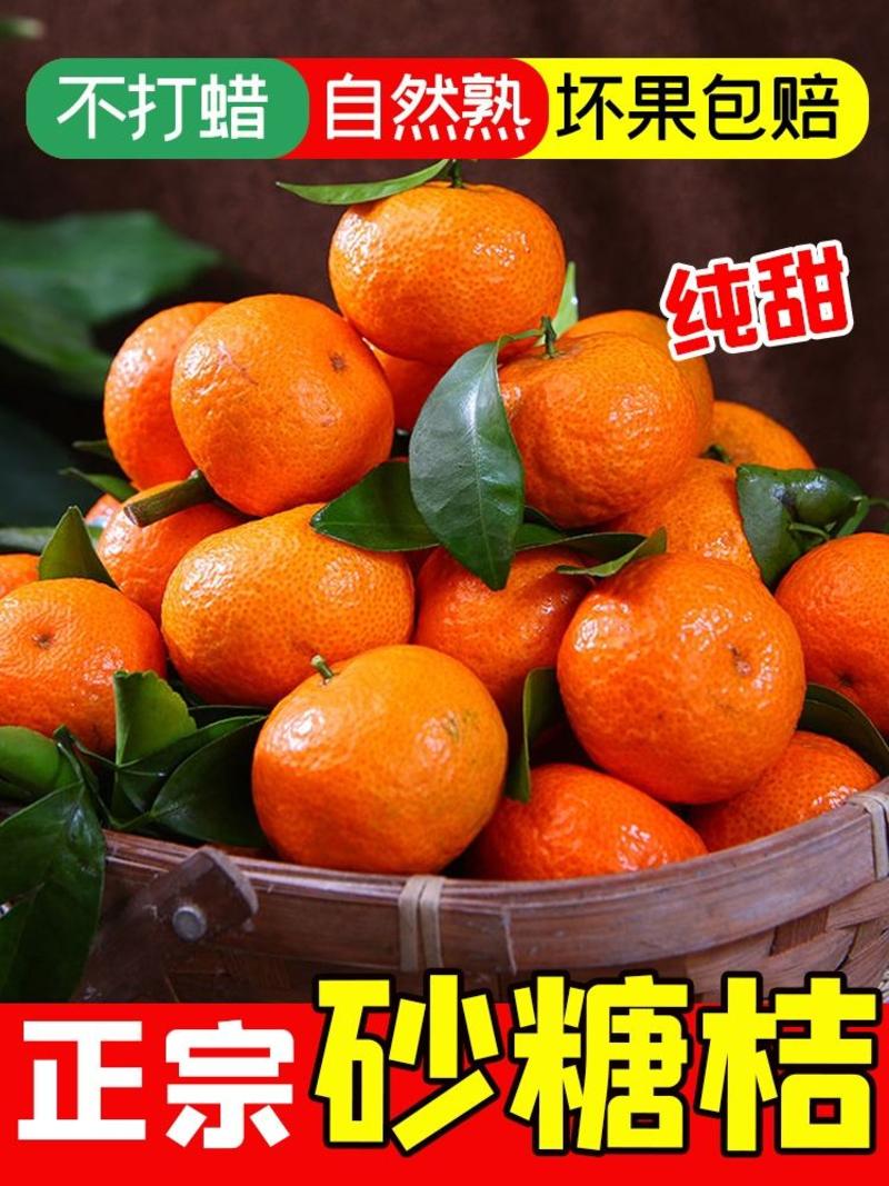 南丰蜜橘产地看货论价一首货源保质保量欢迎订购