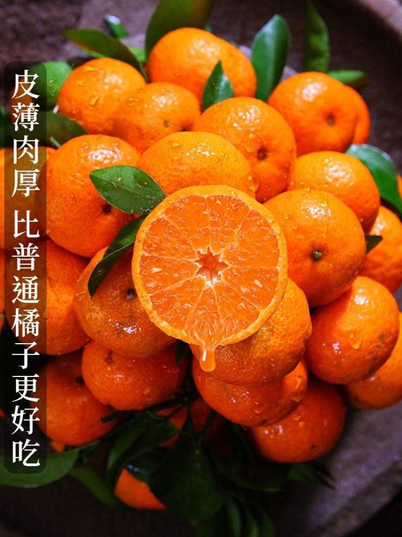 南丰蜜橘产地看货论价一首货源保质保量欢迎订购