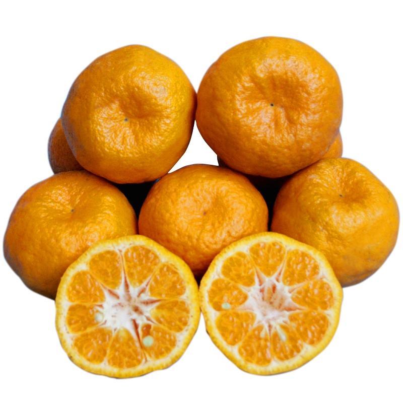 南丰蜜橘产地看货论价一首货源保质保量欢迎订购