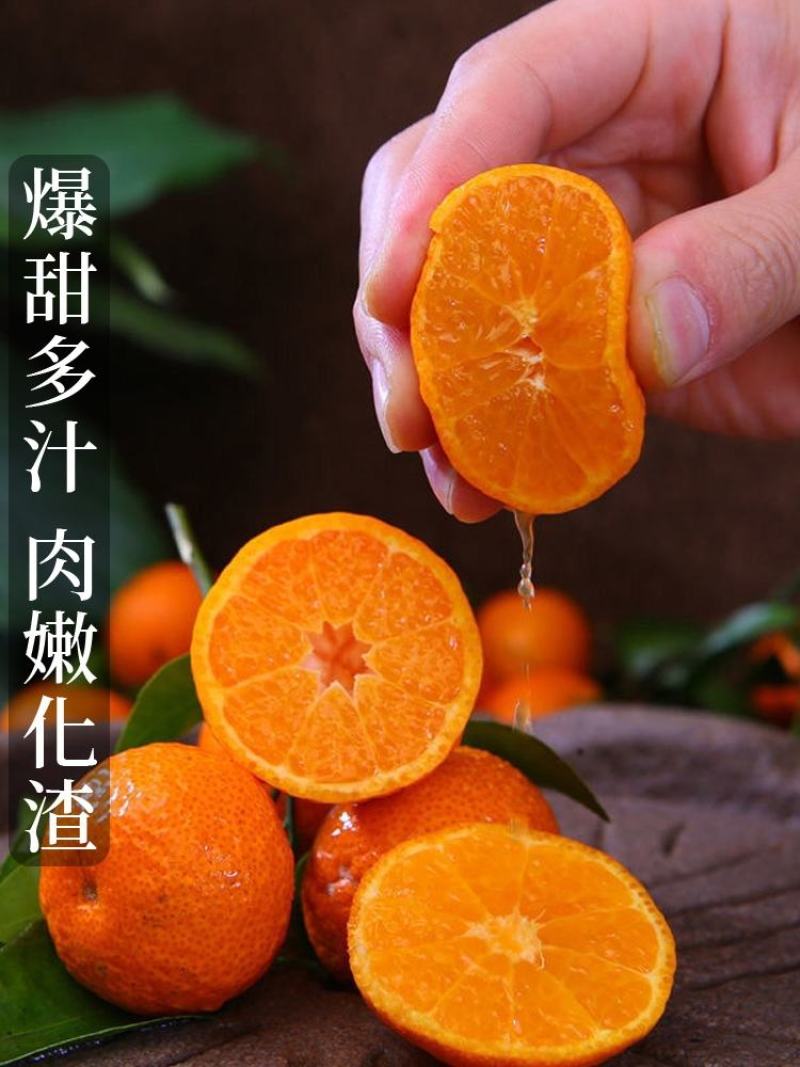南丰蜜橘产地看货论价一首货源保质保量欢迎订购
