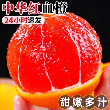 中华红血橙产地看货论价保质保量欢迎咨询订购