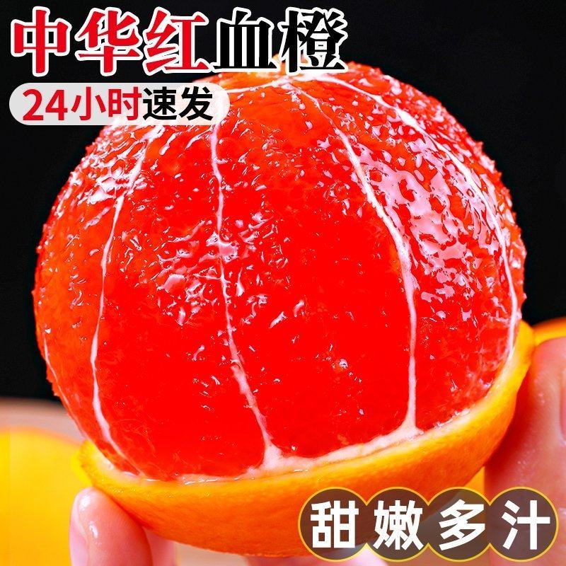 中华红血橙产地看货论价保质保量欢迎咨询订购