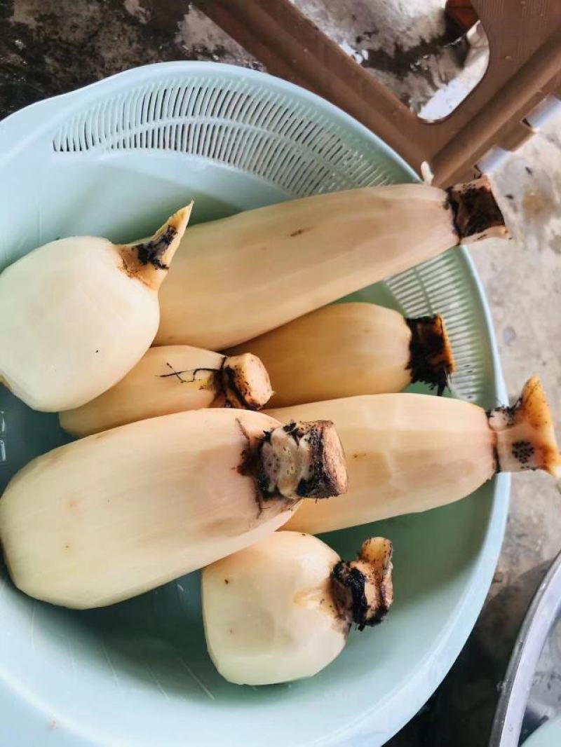 广东南沙精品藕粉，古法手工藕粉，全国发货，欢迎采购