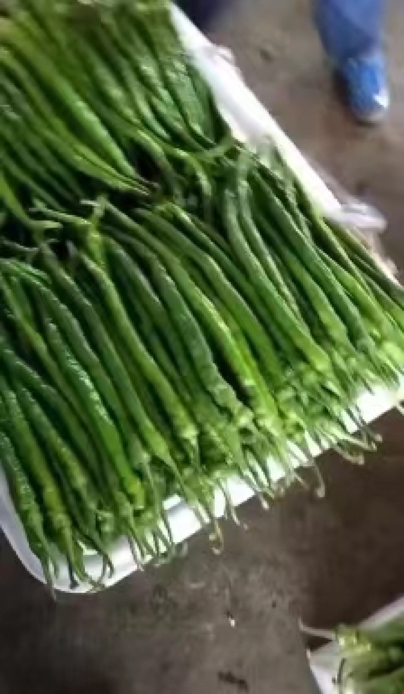 精品3/8号线椒，货量巨大，一手货源，价格低廉，欢迎联系
