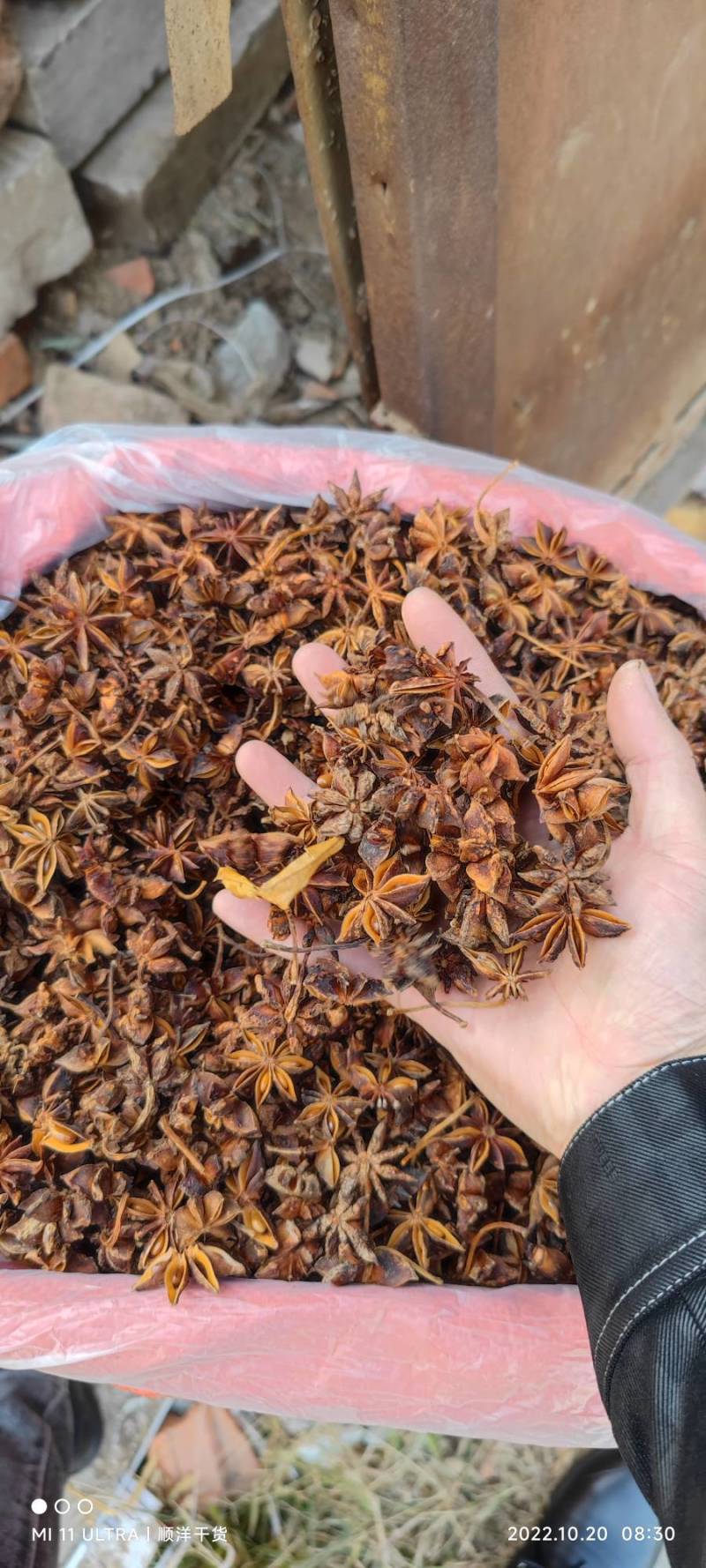 八角茴香调味品
