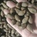 胖大海药食两用泡水喝圆果大粒一斤起包邮