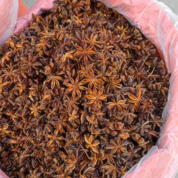 八角茴香调味品