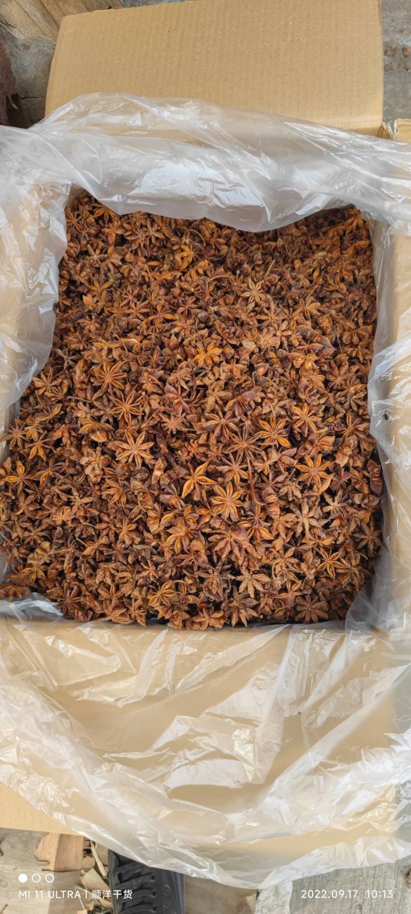 大红八角人工精选过筛去靶装箱