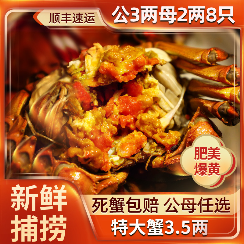 【北方名蟹】量大无忧产地直发可视频看货