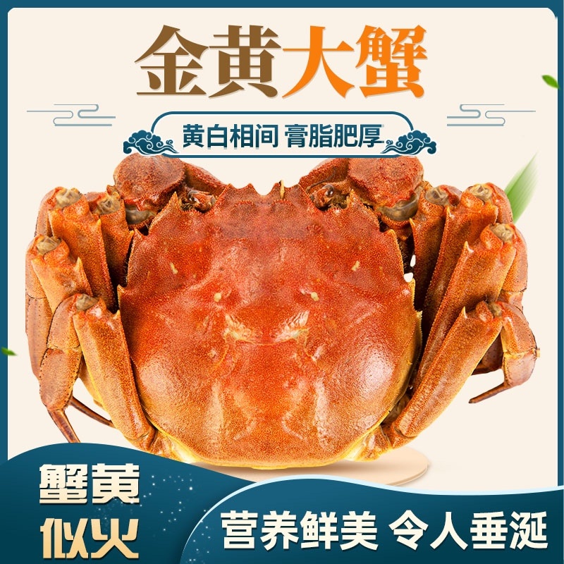 【北方名蟹】量大无忧产地直发可视频看货