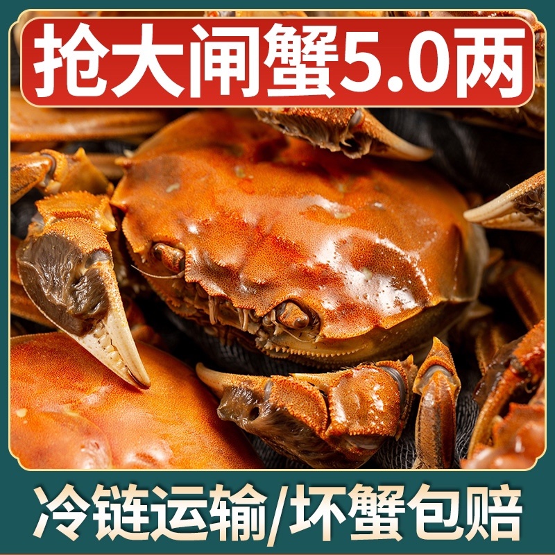 【北方名蟹】量大无忧产地直发可视频看货