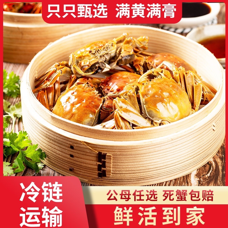 【北方名蟹】量大无忧产地直发可视频看货