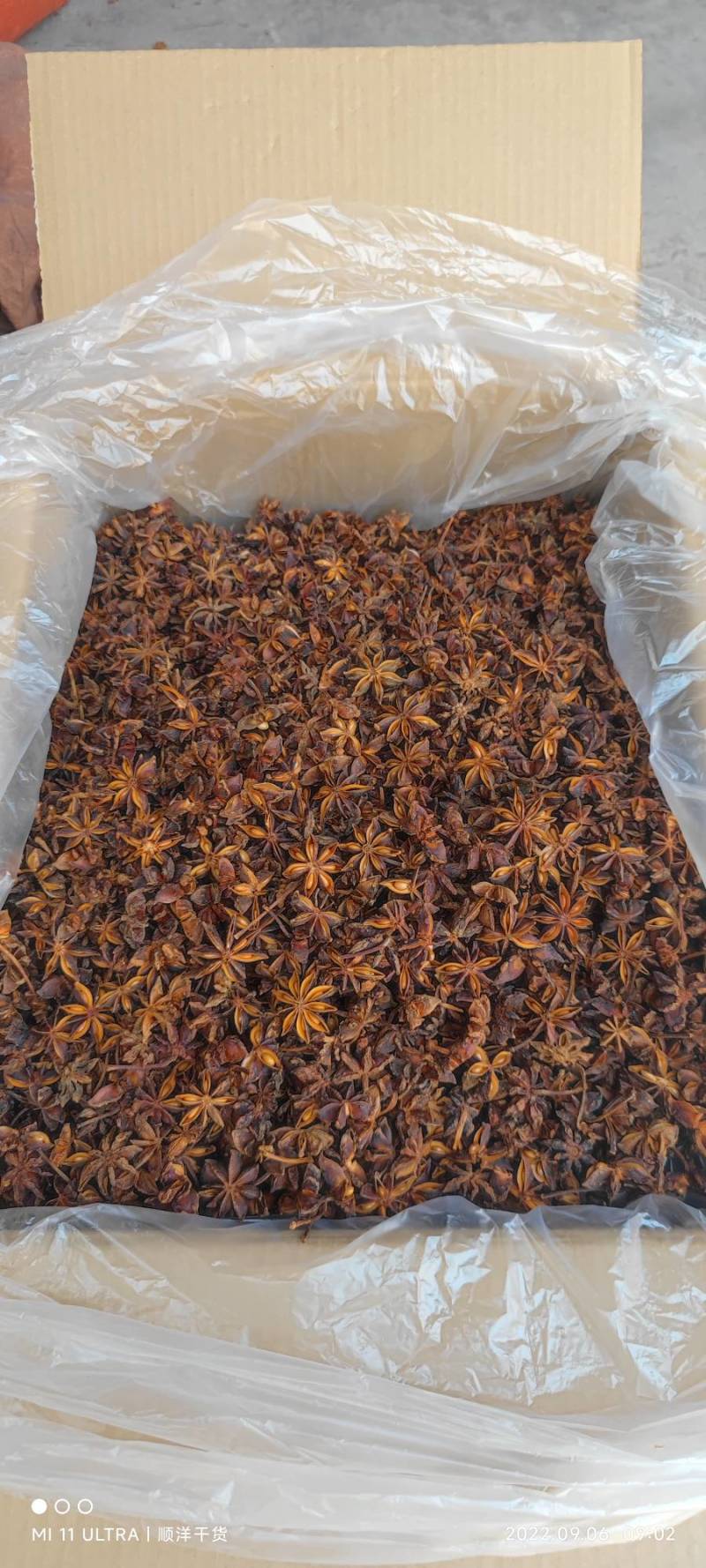 八角批发各种品质规格