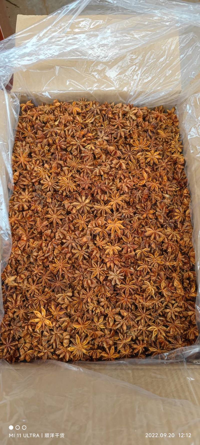 八角批发各种品质规格