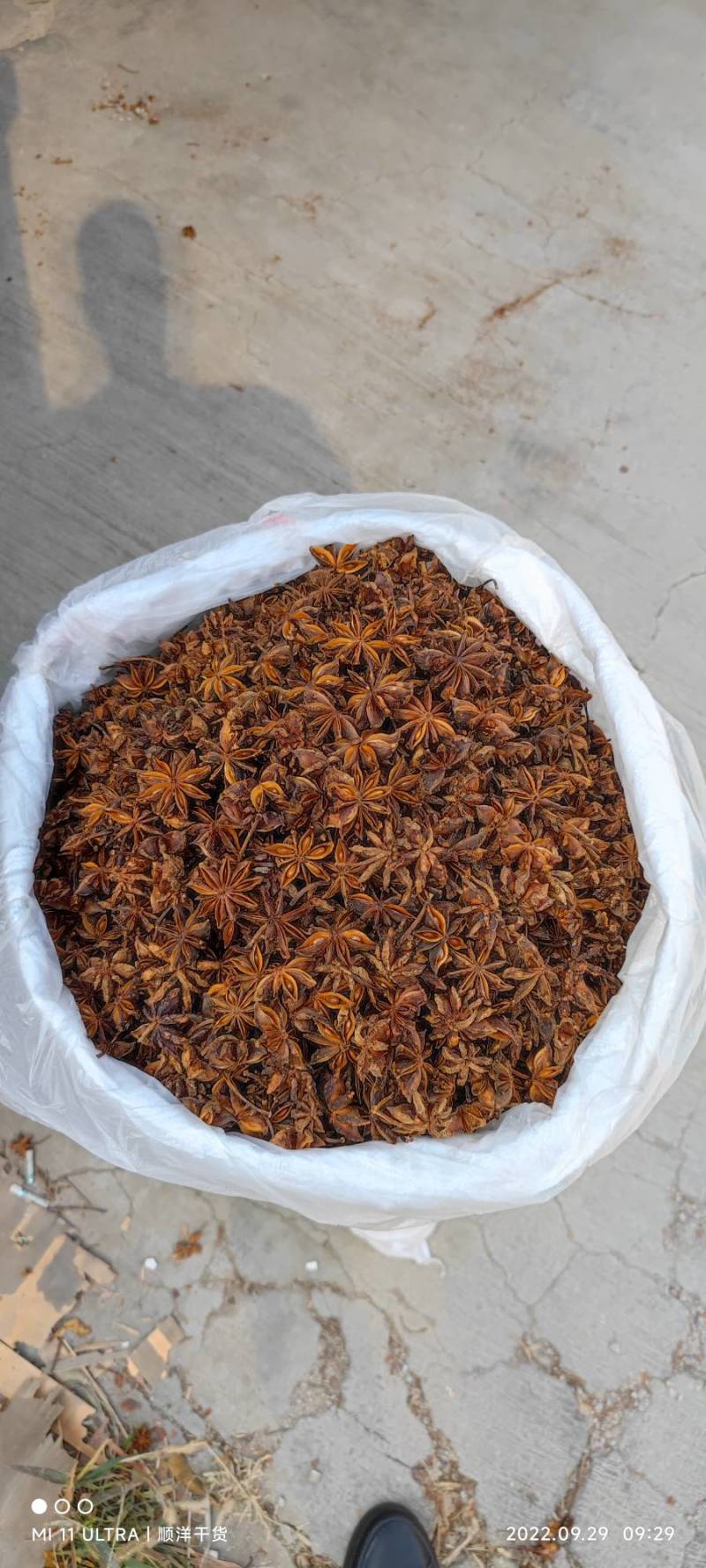 八角批发各种品质规格