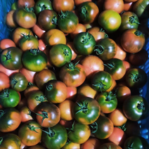 草莓番茄（糖度8度，全年种植，大型企业）