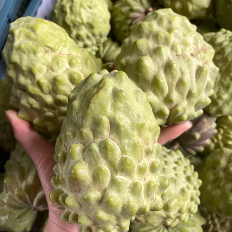 产地直发，发顺丰，新鲜到家，坏果包赔！