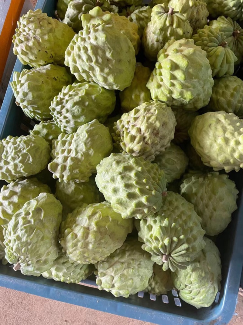 产地直发，发顺丰，新鲜到家，坏果包赔！