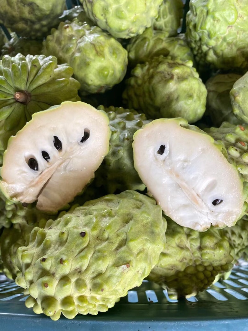产地直发，发顺丰，新鲜到家，坏果包赔！