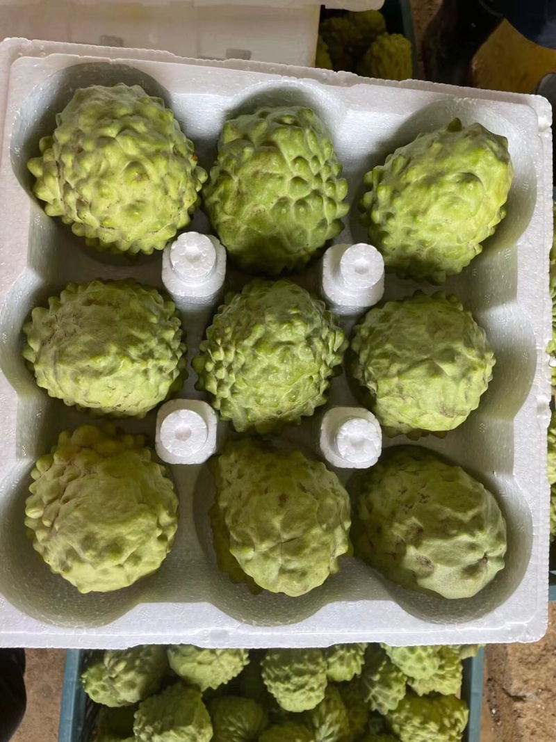 产地直发，发顺丰，新鲜到家，坏果包赔！