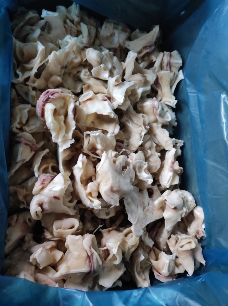 鱿鱼脖，脆口鱿鱼脖，秘鲁鱿鱼脖，赤道鱿鱼脖，单冻鱿鱼脖