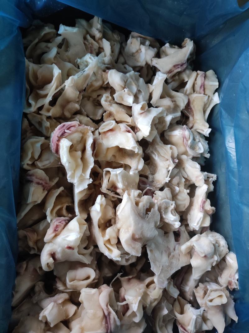 鱿鱼脖，脆口鱿鱼脖，秘鲁鱿鱼脖，赤道鱿鱼脖，单冻鱿鱼脖
