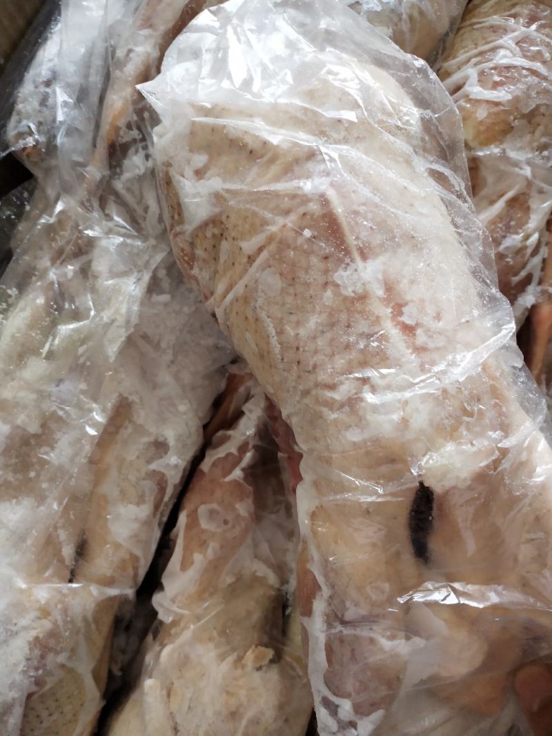 草麻鸭！湖边自然放养！肉质细腻鲜美，无添加剂