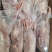 草麻鸭！湖边自然放养！肉质细腻鲜美，无添加剂
