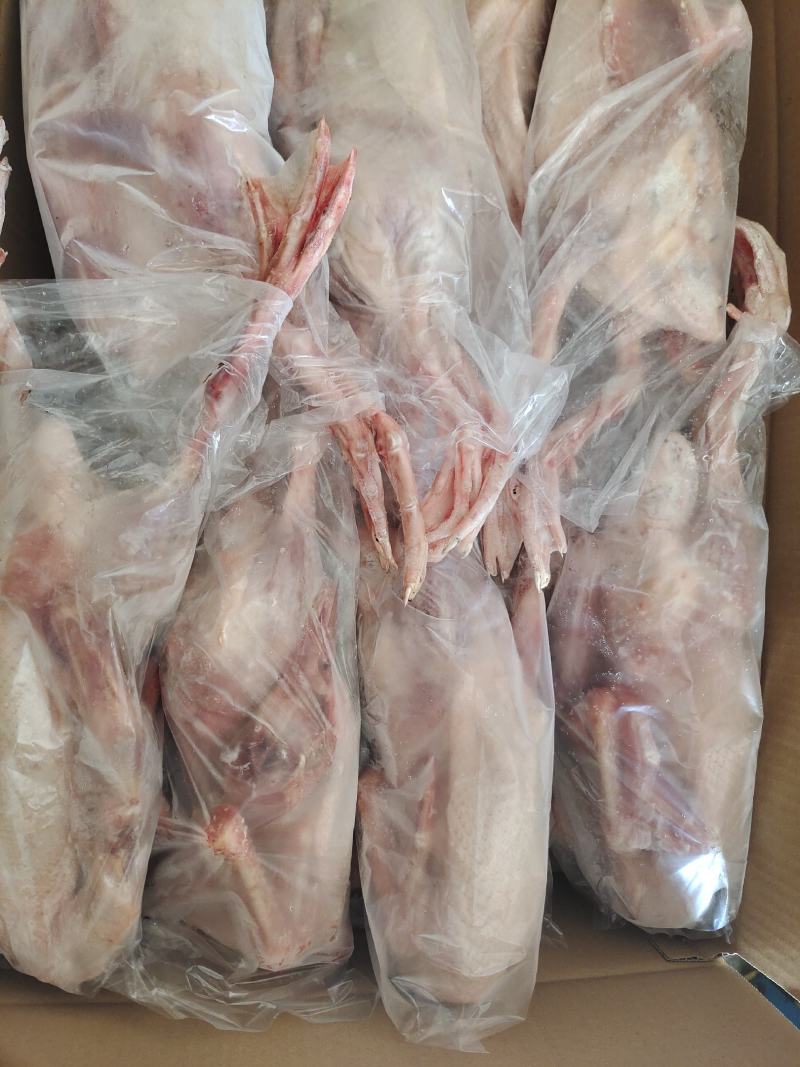 草麻鸭！湖边自然放养！肉质细腻鲜美，无添加剂