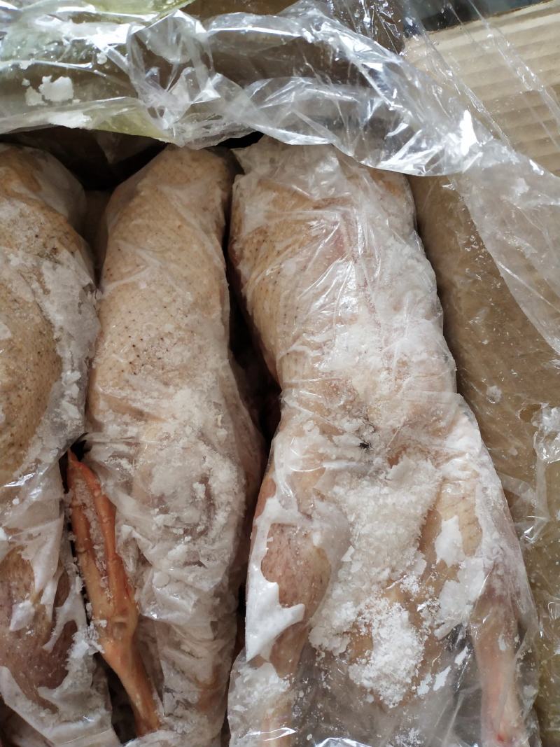 草麻鸭！湖边自然放养！肉质细腻鲜美，无添加剂