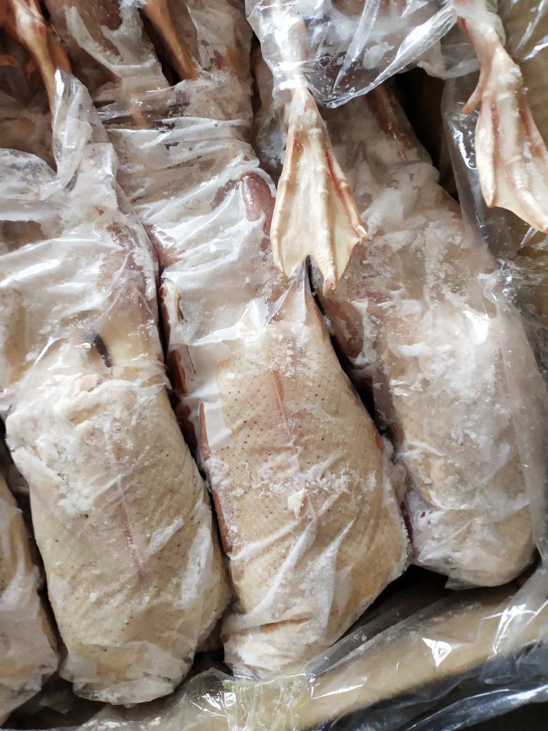 草麻鸭！湖边自然放养！肉质细腻鲜美，无添加剂