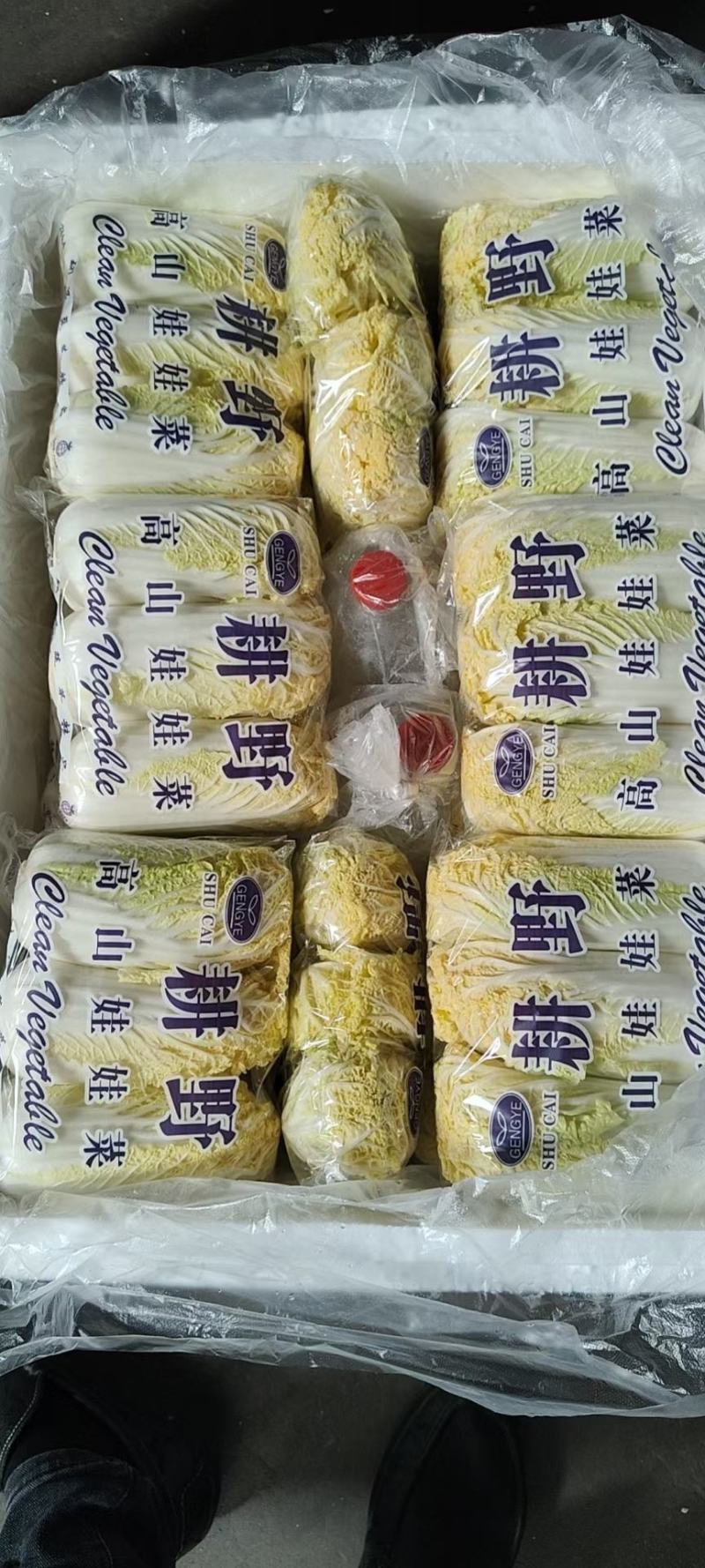 娃娃菜，精品大娃小娃各种包装