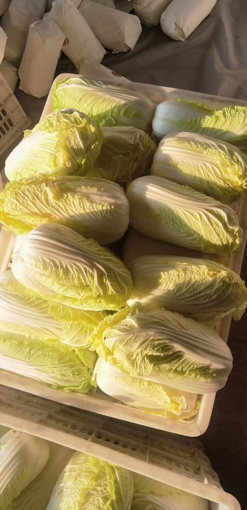 娃娃菜，精品大娃小娃各种包装