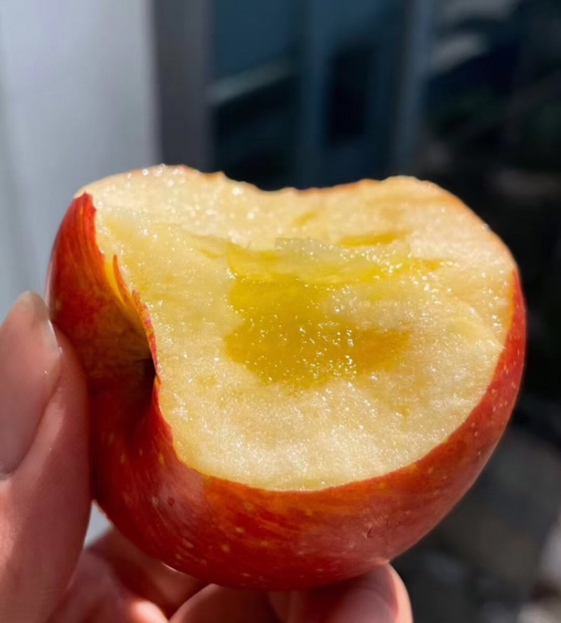 云南糖心丑苹果🍎不打蜡，不套袋，不打催红素，树上熟