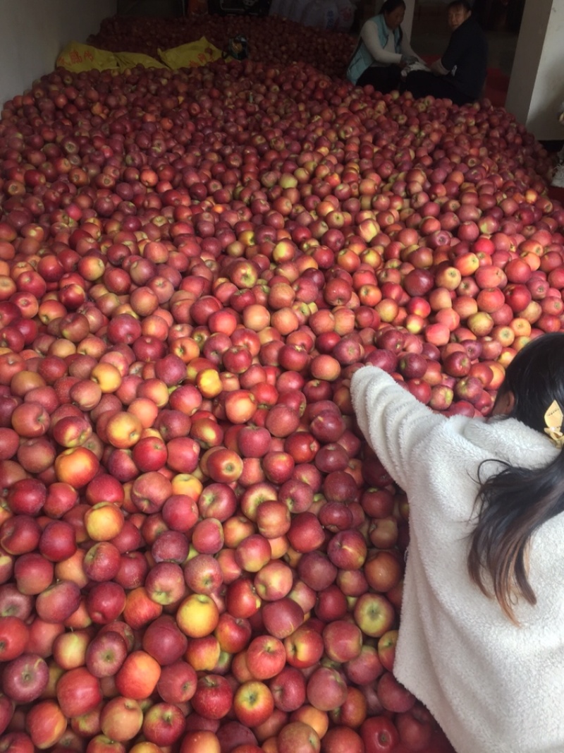 云南糖心丑苹果🍎不打蜡，不套袋，不打催红素，树上熟