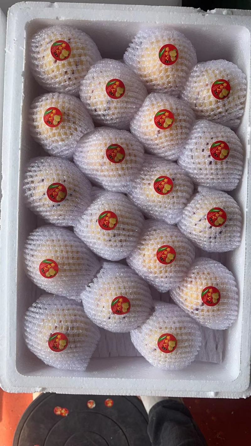 鲜源参果，石林风化石土地生长，清甜多汁，健康美味佳肴