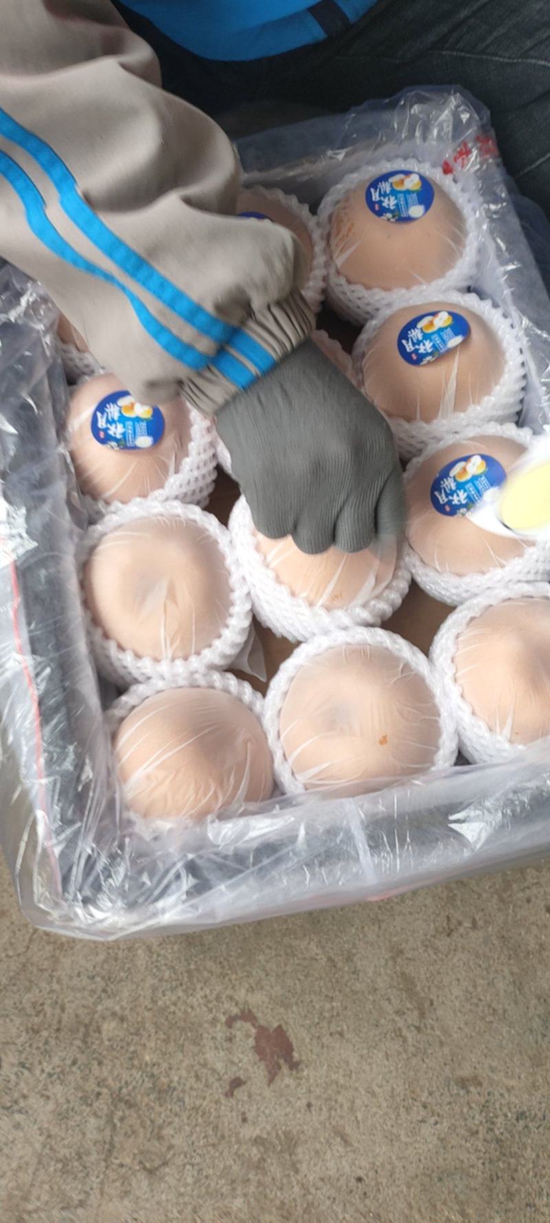 秋月梨精品货大量供货商场超市电商现货供应