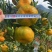 云南高原椪柑，皮薄汁多口感好不空心，支持电商，欢迎来电