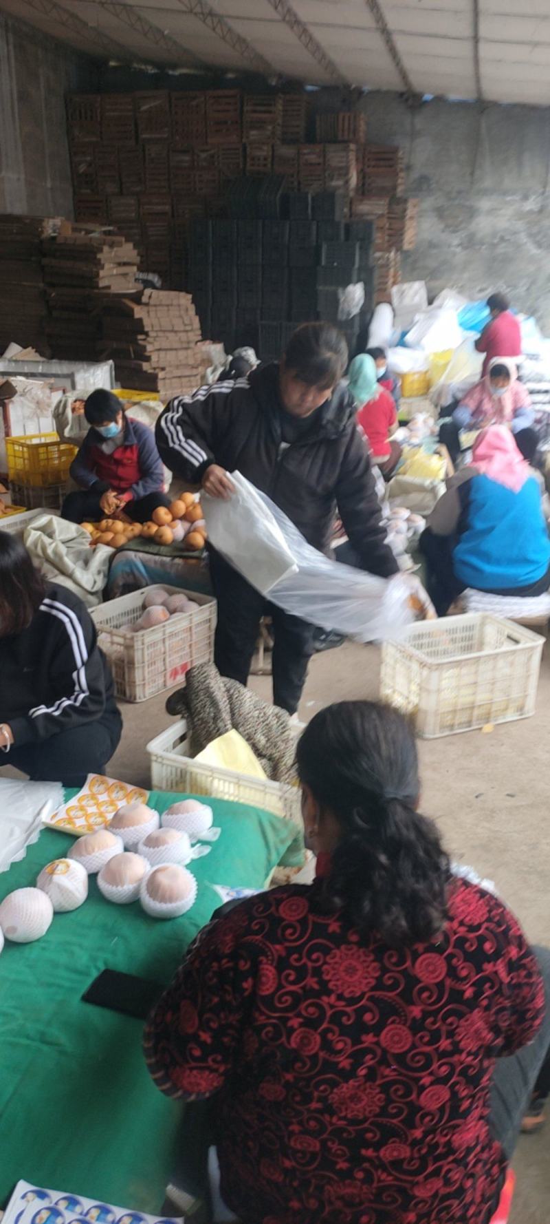 秋月梨精品货大量供货商场超市电商现货供应