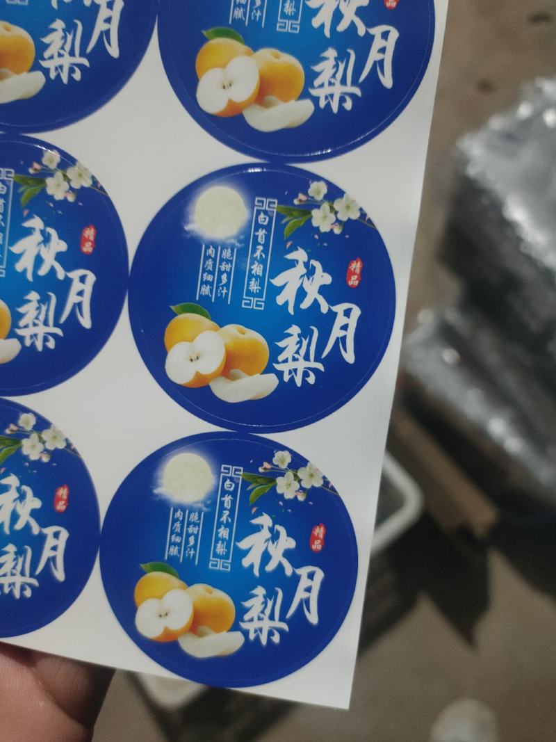 秋月梨精品货大量供货商场超市电商现货供应