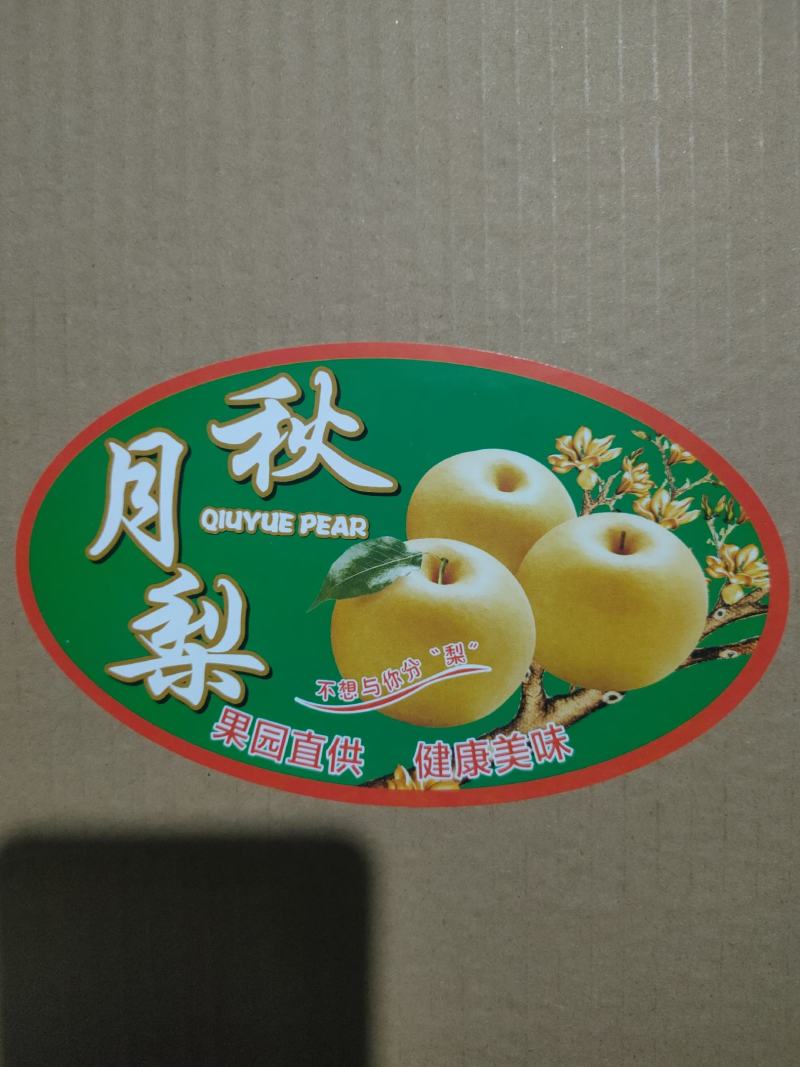 秋月梨精品货大量供货商场超市电商现货供应