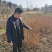 水杉小苗水杉苗水杉树基地直供产地直发欢迎来选购