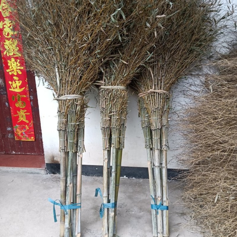 大小竹扫把