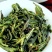 抽湿生茶清香型抽湿单丛茶抽湿凤凰单丛茶1斤抽湿鸭屎香单丛