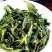 抽湿生茶清香型抽湿单丛茶抽湿凤凰单丛茶1斤抽湿鸭屎香单丛