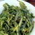 抽湿生茶清香型抽湿单丛茶抽湿凤凰单丛茶1斤抽湿鸭屎香单丛