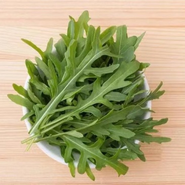 野菜，芝麻菜货源充足量大从优，欢迎来电咨询