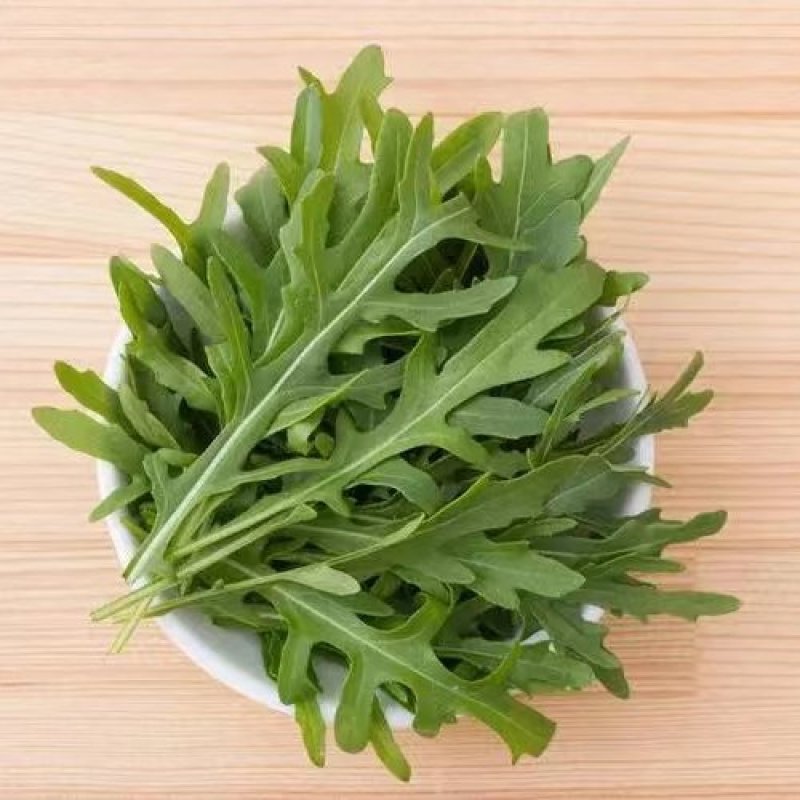 野菜，芝麻菜货源充足量大从优，欢迎来电咨询